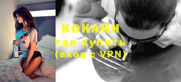 индика Белокуриха