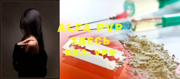 индика Белокуриха