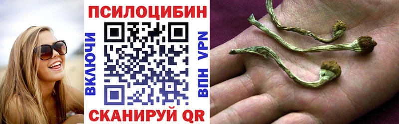 МЕГА зеркало  Красный Сулин  Псилоцибиновые грибы Cubensis  даркнет сайт 